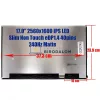 MSI Raider GE78HX 13VI, GE78HX 13VH, GE78 14VGG 17.0" WQXGA IPS laptop kijelző, matt